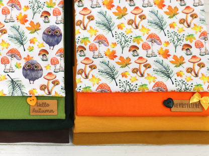 stoff-jersey-baumwolle-baumwolljersey-kathi-kunterbunt-herbst-wald-waldfreunde-eule-owl-pilze-blaetter-serie-2