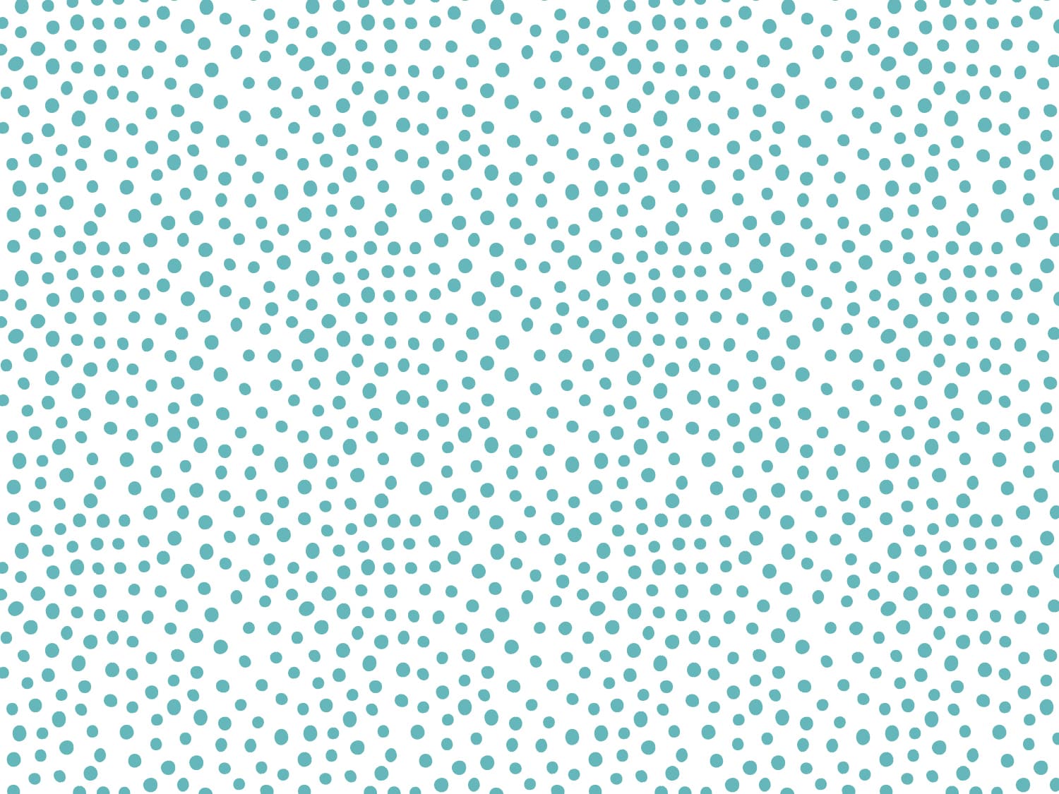 stoff-jersey-baumwolle-baumwolljersey-kathi-kunterbunt-regenbogen-follow-the-rainbow-tiny-dots-tupfen-kombi-dunkles-mint-2