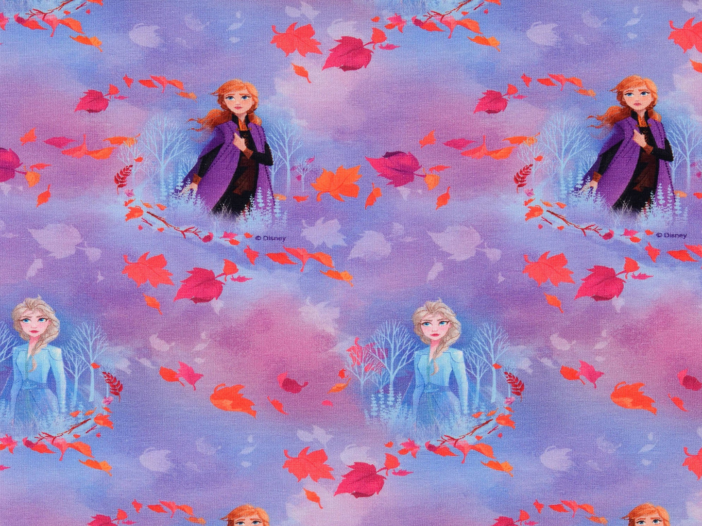 Jersey Stoff - Frozen - Anna & Elsa