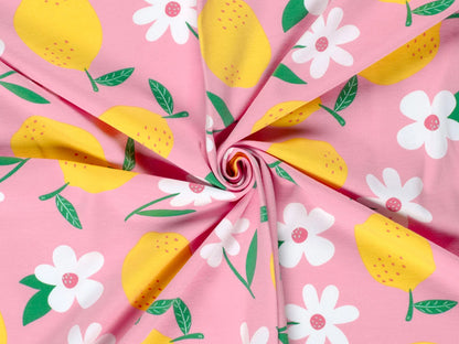 Tissu jersey - Festive Friends - Souris