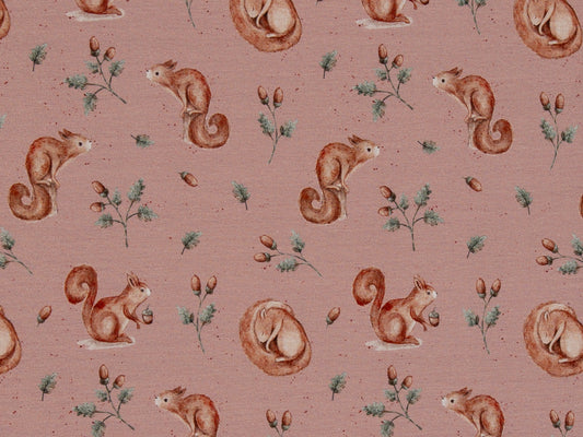 Jersey Stoff - Life in the Forest - Eichhörnchen, altrosa
