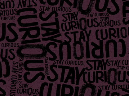 French Terry Stoff - Thorsten Berger Stay Curious - Schrift Kombistoff