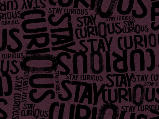French Terry Stoff - Thorsten Berger Stay Curious - Schrift Kombistoff