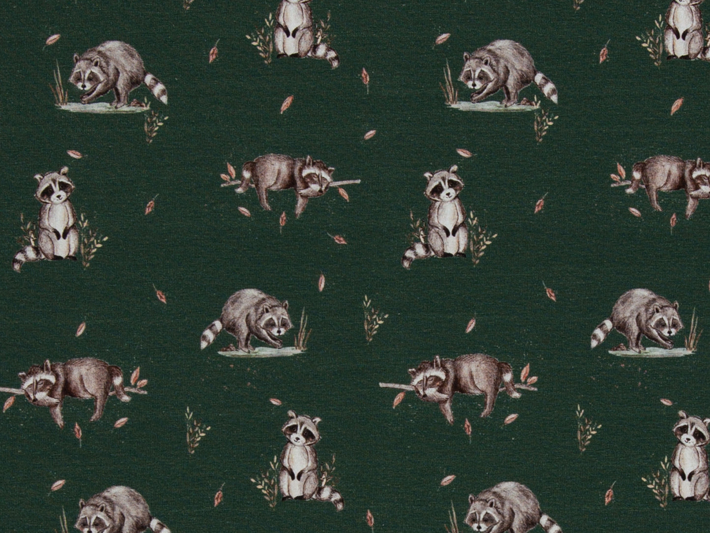 Jersey Stoff - Life in the Forest - Waschbär