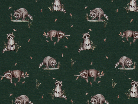Jersey Stoff - Life in the Forest - Waschbär
