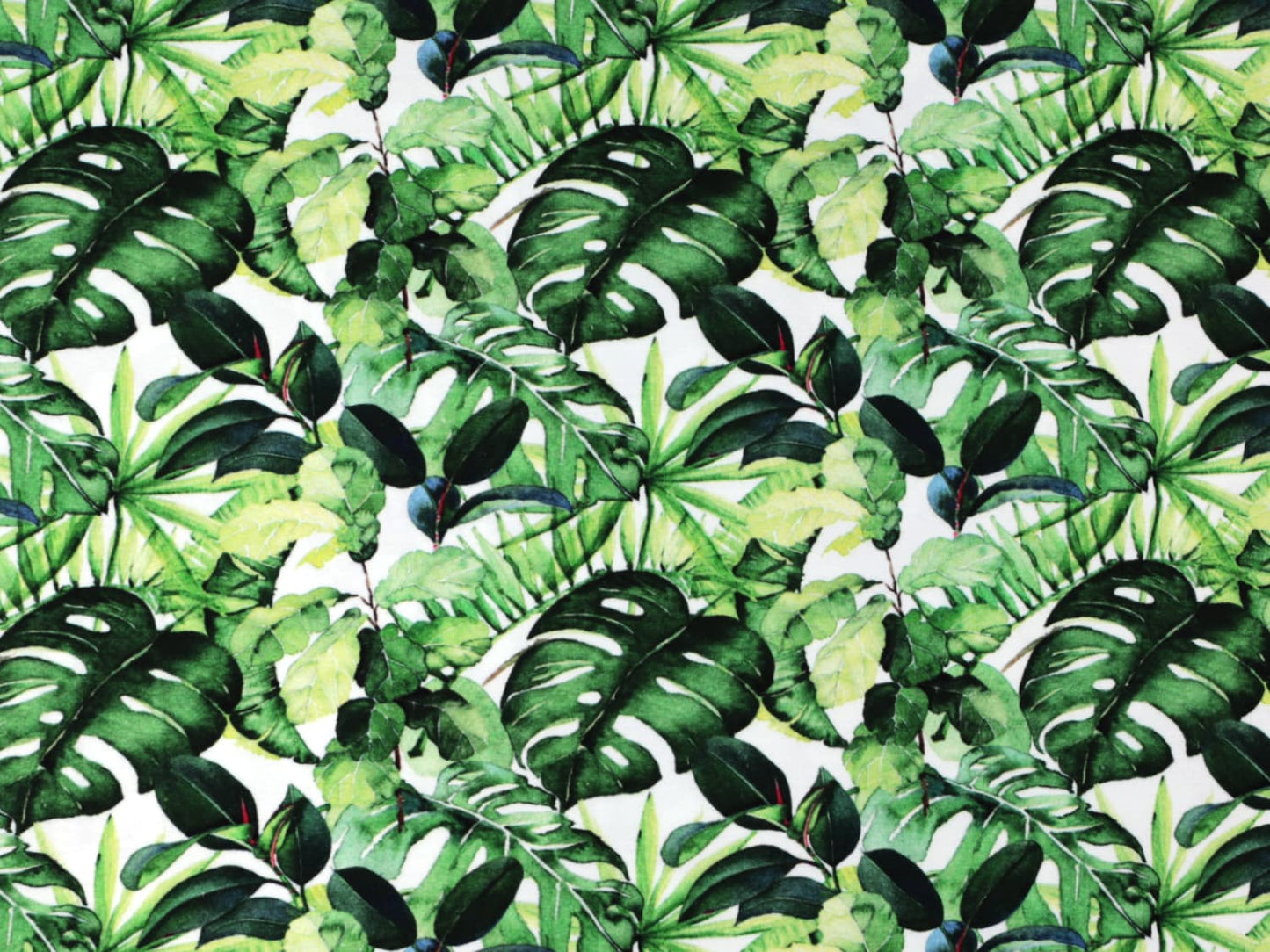 stoff-jersey-baumwolle-baumwolljersey-watercolor-aquarell-blaetter-palme-monstera