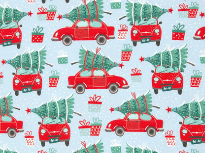 stoff-sweat-angeraut-swafing-sommersweat-holly-driving-home-hellblau