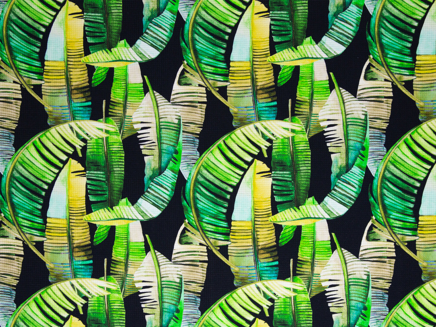 Waffle Jersey - Leaves - white