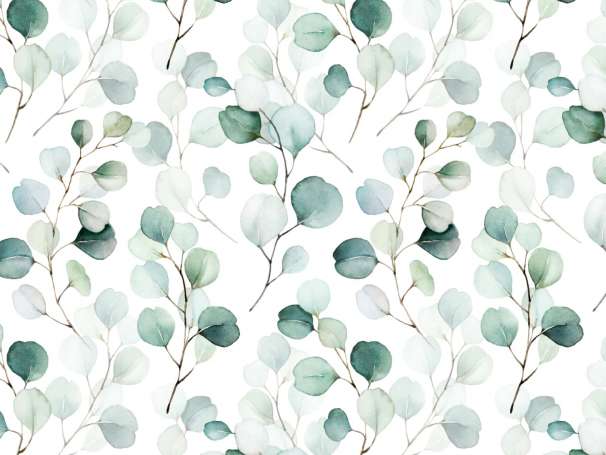 Verlenen Roest knal Jersey Stoff - Eukalyptus - online kaufen | Kathi Kunterbunt