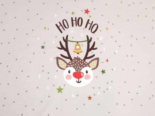 Jersey Stoff - Christmas Party PANEL - Ho Ho Ho Rudolph