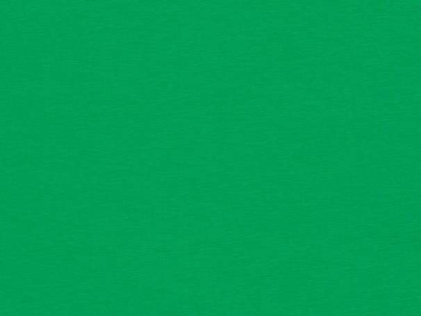 Uni Jersey - Jolly - grasgrün