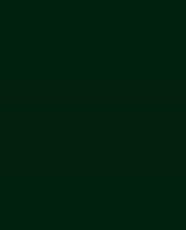 Powerflex Plotterfolie - DIN A4 - dunkelgrün