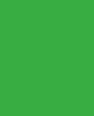 Powerflex Plotterfolie - DIN A4 - hellgrün